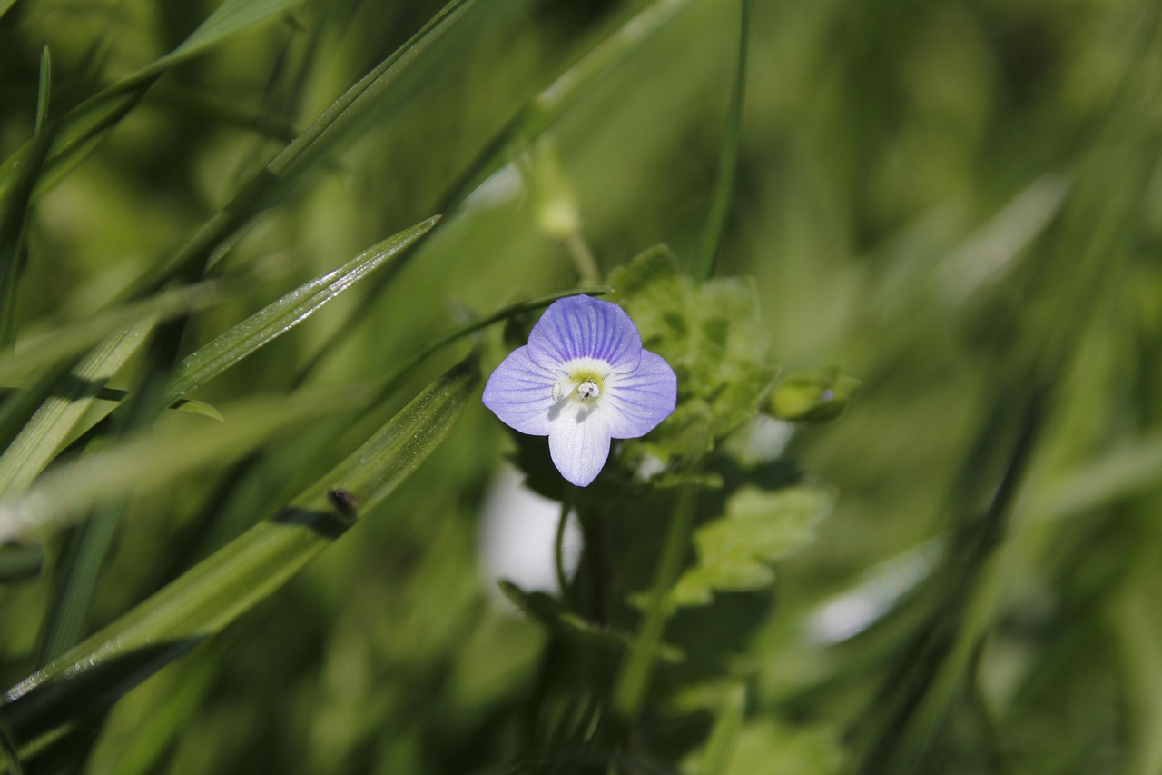 Innovative Environment