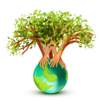 6020-transformed new