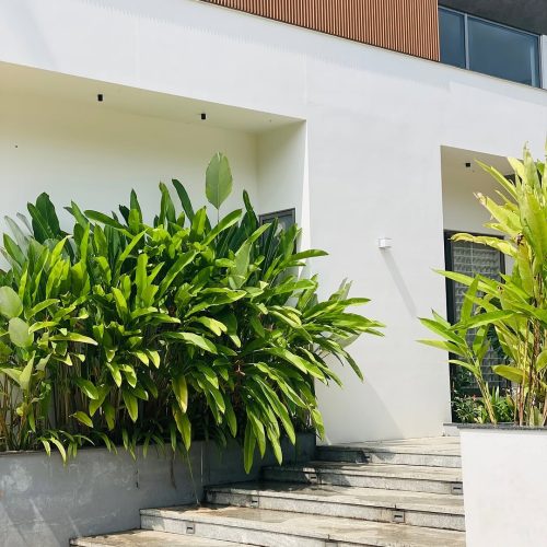 Saqeer Residence Category _ResidentialLocation _kizhisseryLandscape Design _ @teamlandschaft #land #design #home #landscape #decor #residence #architect #plant #homedesign #plants (1)