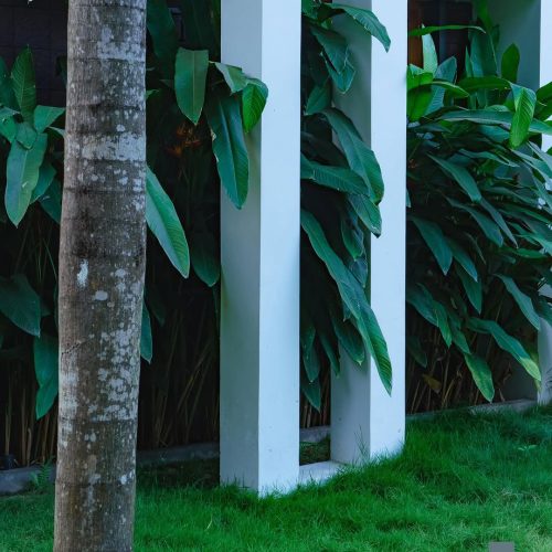 teamlandschaft_02c69725490f4c4384c65607d4dbb209